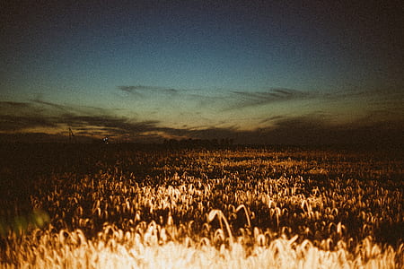 brown field under the cloudy sky thumbnail