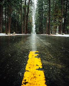 black concrete road in between green trees thumbnail