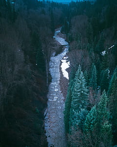 aerial photography of river between forest thumbnail