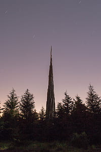 low-angle photo of green trees thumbnail