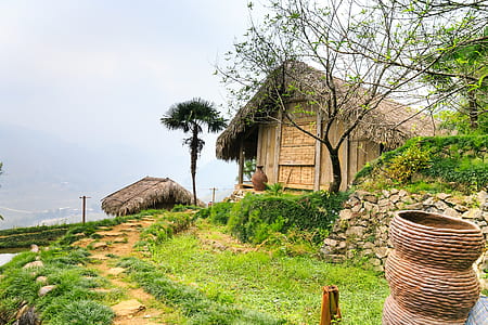 brown nipa hut beside tree thumbnail