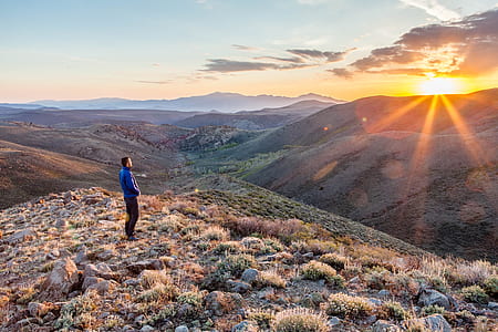 man surrounded by bush during sunset thumbnail