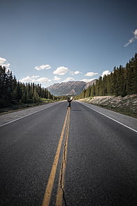 person doing stunt in the middle of road thumbnail