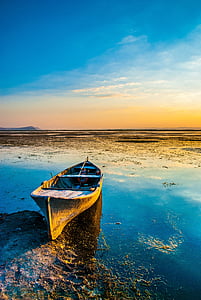 brown canoe on bodies of water at daytime thumbnail