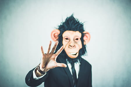 man wearing black suit and monkey mask thumbnail