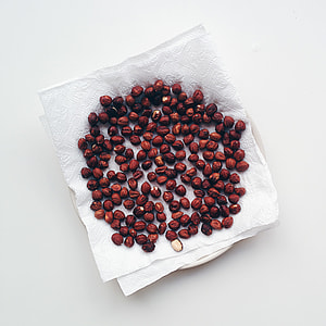 Drying hazelnuts thumbnail