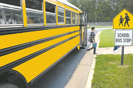 yellow bus parked on road thumbnail