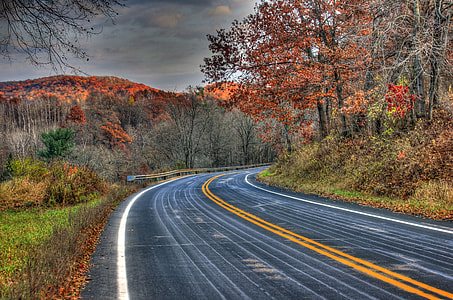 black concrete road near tress in day time thumbnail