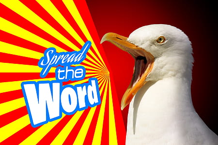 Spread The Word poster with white bird print thumbnail