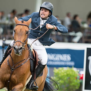 equestrian riding horse thumbnail