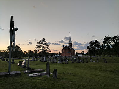cemetery surrounded by trees under white sky thumbnail