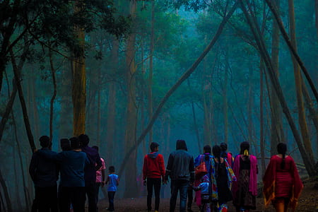 group of people walking towards forest thumbnail