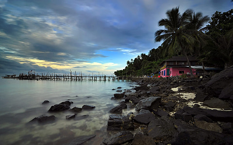 scenery of body of water and trees thumbnail