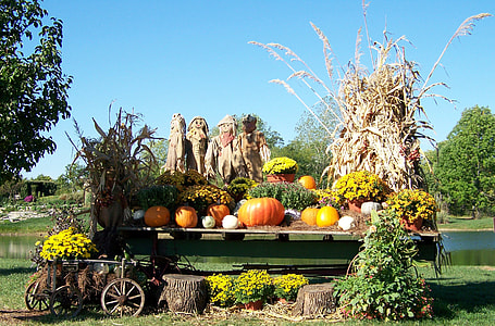 pumpkins on trailer near body of water thumbnail