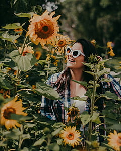 woman over yellow sunflowers taken at daytime thumbnail