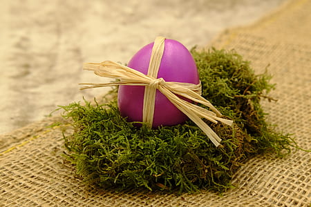 pink Easter egg thumbnail