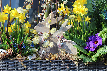 pussy willow, daffodil, anemone flower arrangement thumbnail
