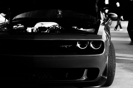 photo of Ford Mustang in gray scale photo thumbnail