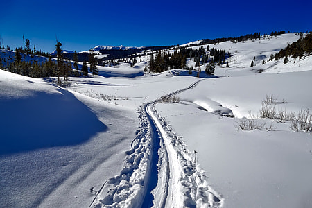 trail with snow and trees during daytime thumbnail