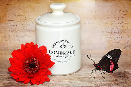 red gerbera faisy beside homemade container and black and red butterfly thumbnail