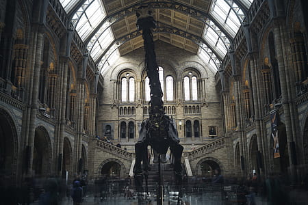 architectural photography of ancient building interior thumbnail