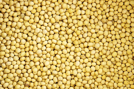 pile of yellow seeds thumbnail