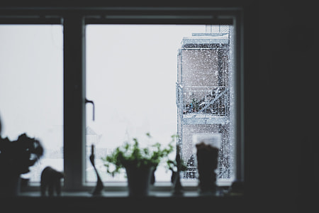 Silhouette, potted plants, glass panel, window thumbnail