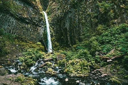 Scenic View of the Waterfalls thumbnail