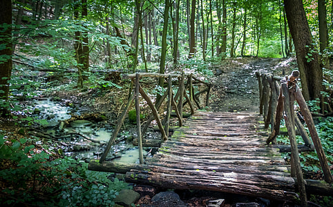brown wooden bridge top of body of water thumbnail