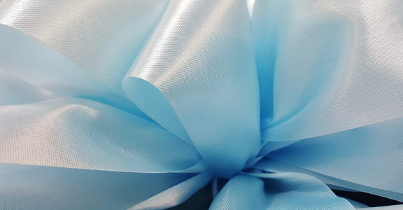 close up photo of blue ribbon thumbnail