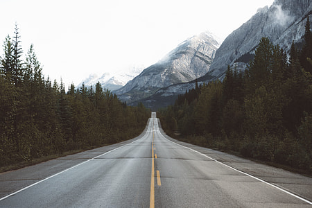 highway road surrounded by pine trees through snow mountains thumbnail