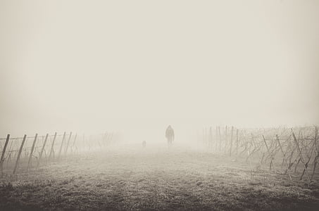 man walking on grass surrounded by fog thumbnail