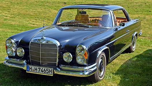blue Mercedes-Benz coupe on green grass field during daytime thumbnail