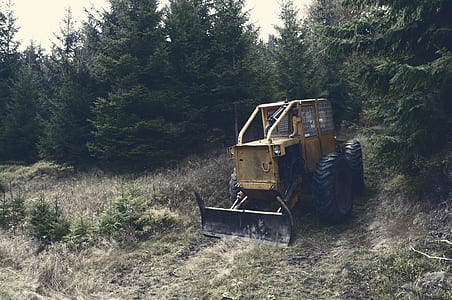 yellow payloader near green trees thumbnail