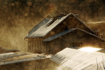 brown and black house painting thumbnail