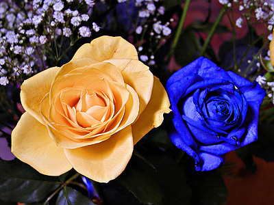 two yellow and blue rose decors thumbnail