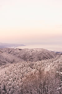 grass covered mountains with gray trees near body of water during daytime thumbnail