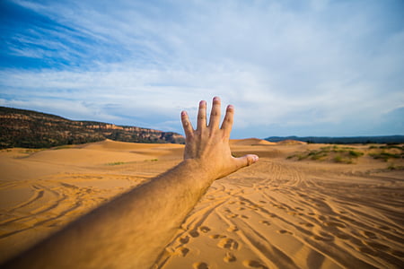 person showing left hand on desert thumbnail