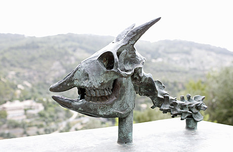 closeup photo of gray skull metal decor thumbnail