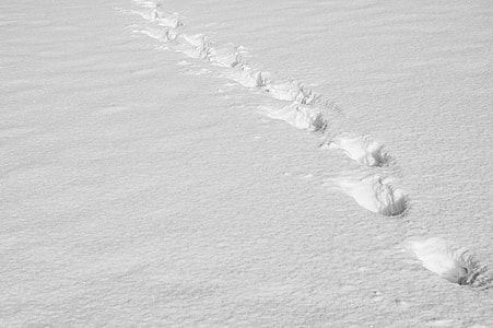 Traces, Footsteps In The Snow thumbnail