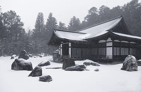 White aAnd Brown House Covered With Snow thumbnail