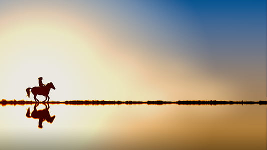 silhouette of person riding horse between water and sky thumbnail