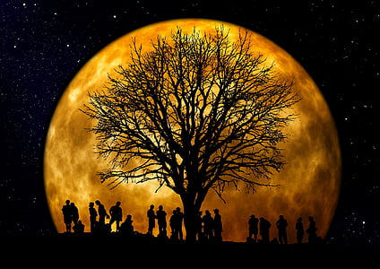 silhouette of people under the bare tree with moon background thumbnail