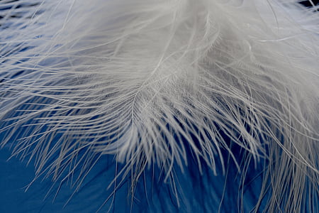 white textile thumbnail