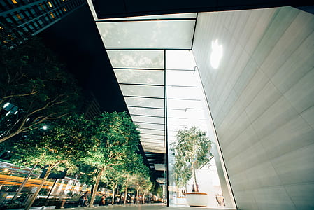 low-angle photo of glass door building thumbnail