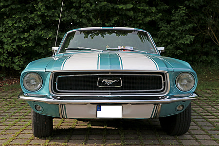 blue and white Ford Mustang coupe parked near green leaf tree thumbnail