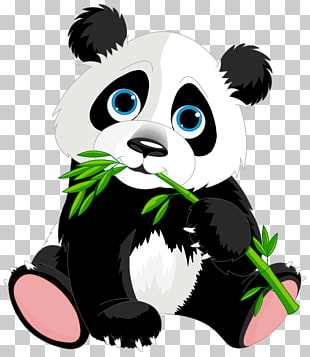 Giant panda Red panda Panda Illustrations , Cute Panda Cartoon , panda cartoon illustration PNG clipart