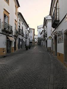 White Houses Photo thumbnail