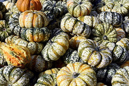 assorted squash lot thumbnail