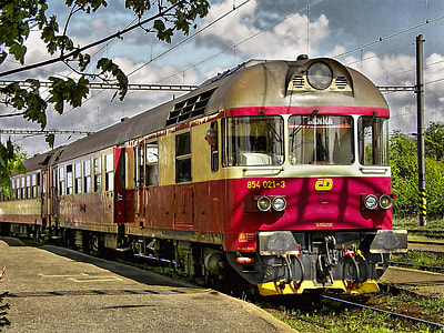 brown and pink train with open doors near tree thumbnail